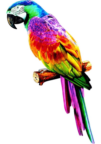 Papağ Figürleri Kuş Heykel Ev Süslemesi A (Yurt Dışından)