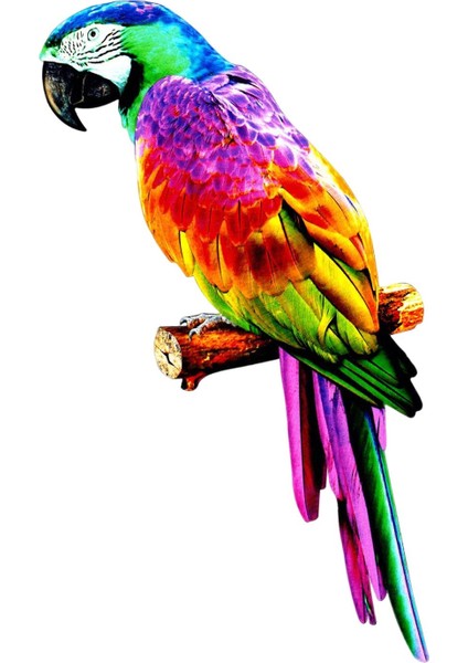 Papağ Figürleri Kuş Heykel Ev Süslemesi A (Yurt Dışından) fiyatları