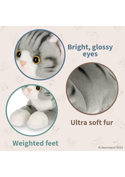 Brave Bull。8 Inç Kedi Peluş Oyuncak - Kedi Peluş Oyuncak - Oyuncak Kedi (Yurt Dışından) fırsatları