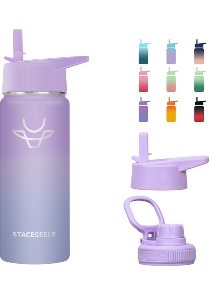 ，，çocuk Yalıtımlı Vakumlu Su Şişesi Hasır Kapaklı Paslanmaz Çelik Su Şişesi Erkekler ve Kızlar Için Sızdırmaz Hafif Çevre Dostu (550ML) (Yurt Dışından)