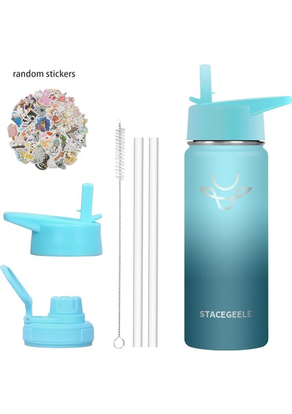 Çocuk Yalıtımlı Vakumlu Su Şişesi Hasır Kapaklı Paslanmaz Çelik Su Şişesi Erkekler ve Kızlar Için Sızdırmaz Hafif Çevre Dostu (550ML) (Yurt Dışından) modelleri