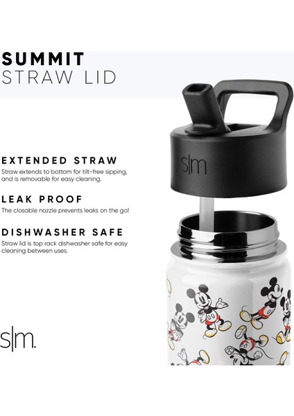 Çocuklar Için Hasır Kapaklı Su Şişesi Yeniden Kullanılabilir Yalıtımlı Paslanmaz Çelik Bardak Kızlar Için, Okul 14 Oz Gökkuşağı Prenses (Yurt Dışından) modelleri