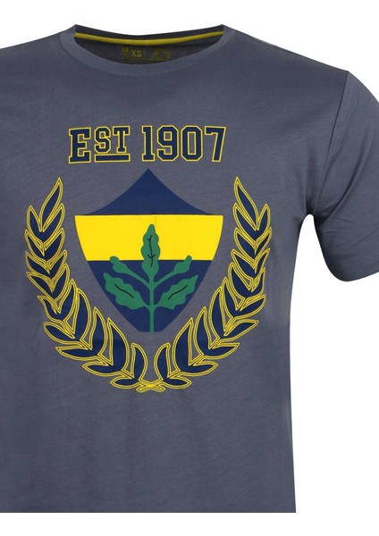 Erkek Gri Orijinal Tshirt