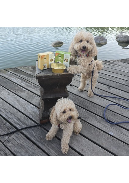 Fresh Tavuk Etli Taze Köpek Yemeği