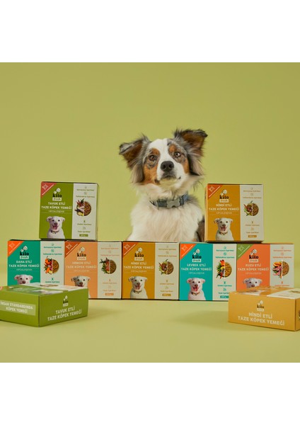 Fresh Levrek Etli Taze Köpek Yemeği