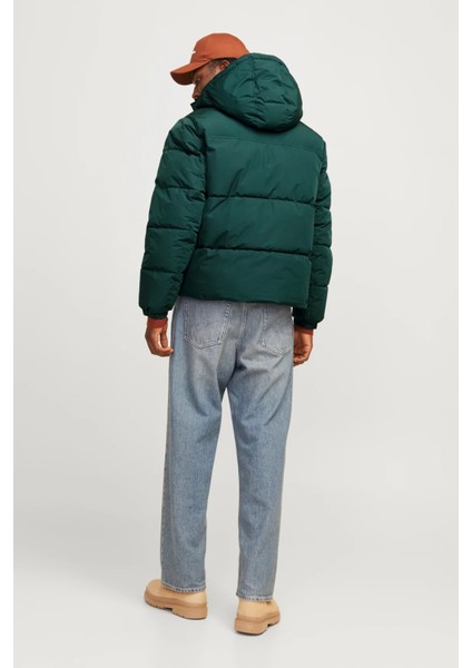 Essentials Jjebradley Comfort Fit Kapüşonlu Kapitone Mont Erkek Mont 12256974
