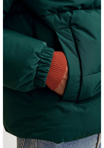 Essentials Jjebradley Comfort Fit Kapüşonlu Kapitone Mont Erkek Mont 12256974