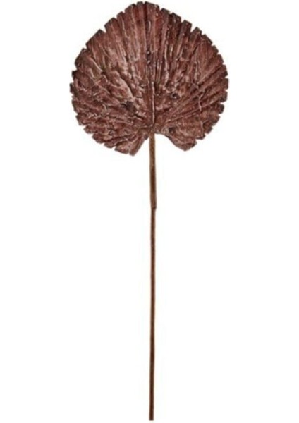 Seta Fw Antique Yaprak 67 cm