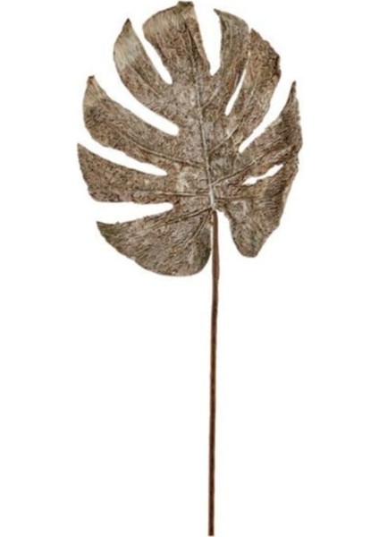 Seta Fw Antique Yaprak 70 cm
