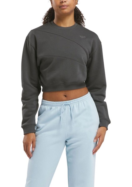 Ae Vector Layer Antrasit Kadın Sweatshirt