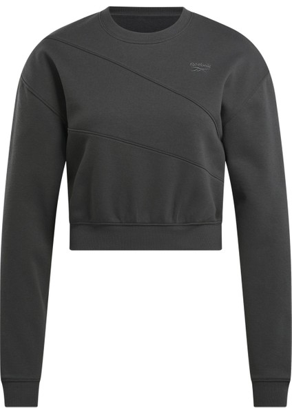 Ae Vector Layer Antrasit Kadın Sweatshirt modelleri