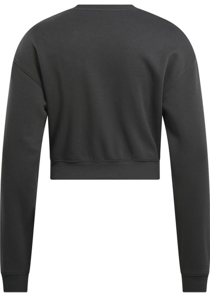 Ae Vector Layer Antrasit Kadın Sweatshirt fırsatları