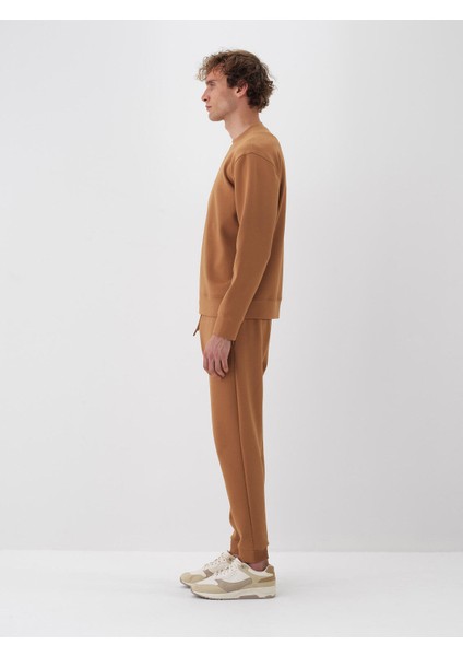 Erkek Camel Pamuk Dokulu Regular Fit Sweatshirt modelleri