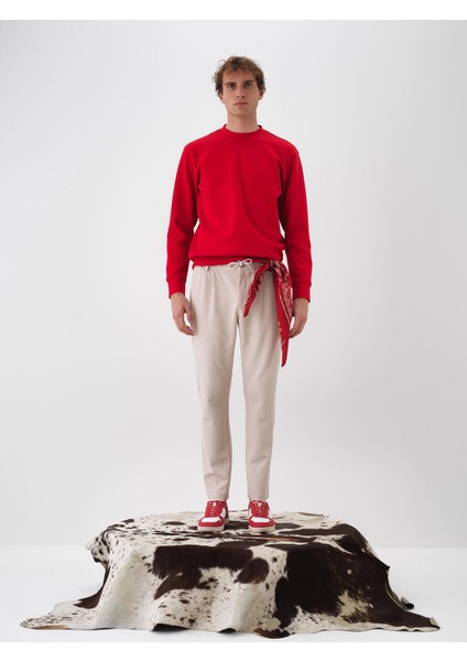 Erkek Taş Rengi Esnek Dokulu Regular Fit Jogger Pantolon