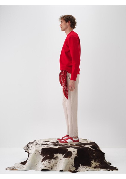 Erkek Taş Rengi Esnek Dokulu Regular Fit Jogger Pantolon fiyatları