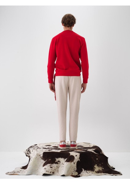 Erkek Taş Rengi Esnek Dokulu Regular Fit Jogger Pantolon fırsatları