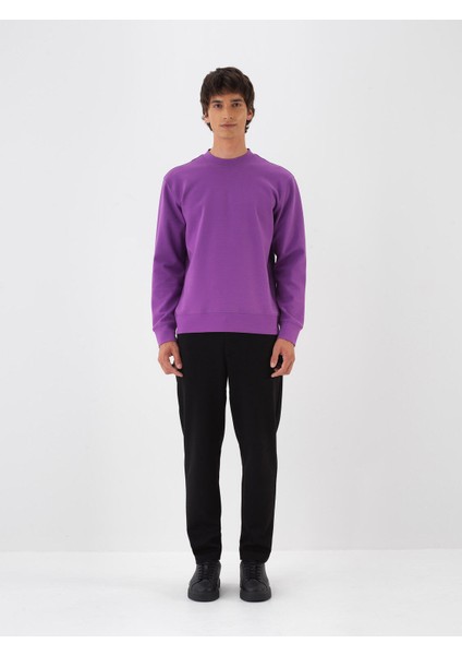Erkek Mor Pamuk Dokulu Regular Fit Sweatshirt
