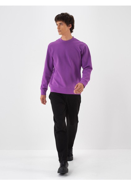 Erkek Mor Pamuk Dokulu Regular Fit Sweatshirt fiyatları