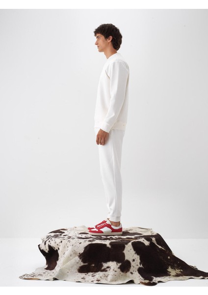 Erkek Ekru Pamuk Dokulu Regular Fit Sweatshirt fiyatları