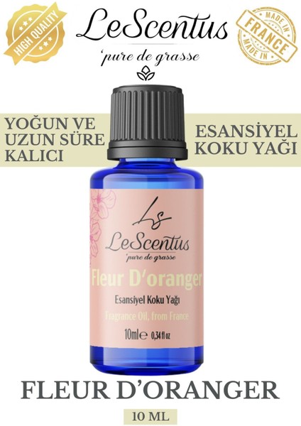 FLEUR Esansiyel Koku Yağı Buhurdanlık Yağı Difüzör Hobi Esansı Oda Ortam Kokusu 10ml