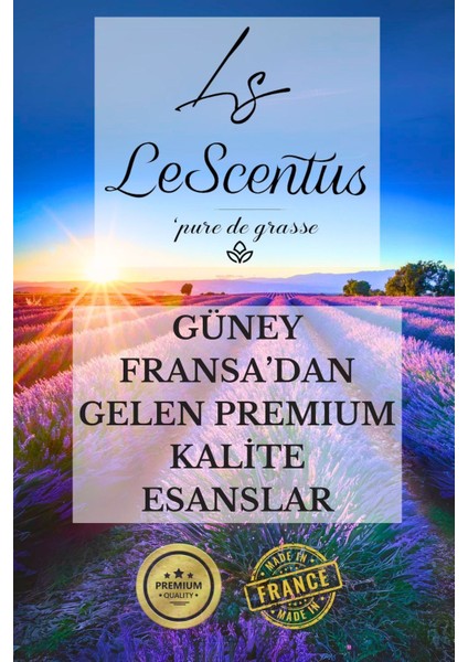 Katoucha Hashtag Esansiyel Koku Yağı Buhurdanlık Yağı Difüzör Hobi Esansı Oda Ortam Kokusu 10ml