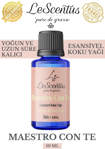 Maestro Con Te Esansiyel Koku Yağı Buhurdanlık Yağı Difüzör Hobi Esansı Oda Ortam Kokusu 10ml
