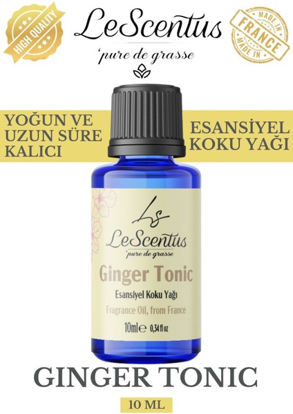 Ginger Tonic Esansiyel Koku Yağı Buhurdanlık difüzör mum sabun hobi esansı Hava nemlendirici Oda Kokusu10ML