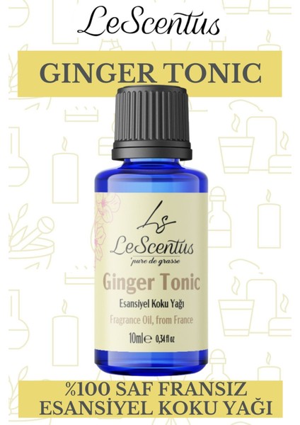 Ginger Tonic Esansiyel Koku Yağı Buhurdanlık difüzör mum sabun hobi esansı Hava nemlendirici Oda Kokusu10ML fiyatları