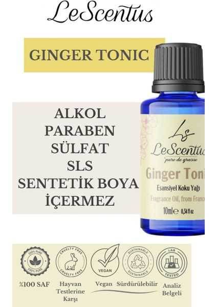 Ginger Tonic Esansiyel Koku Yağı Buhurdanlık difüzör mum sabun hobi esansı Hava nemlendirici Oda Kokusu10ML modelleri