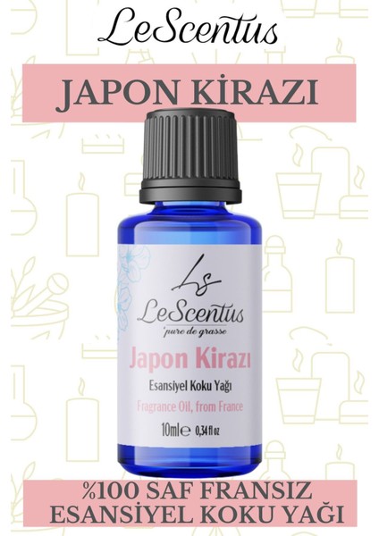 Japon Kirazı Esansiyel Koku Yağı Buhurdanlık Yağı Difüzör Hobi Esansı Oda Ortam Kokusu 10ml
