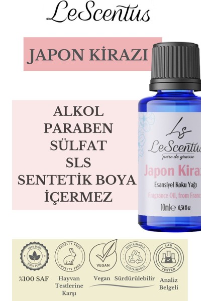 Japon Kirazı Esansiyel Koku Yağı Buhurdanlık Yağı Difüzör Hobi Esansı Oda Ortam Kokusu 10ml