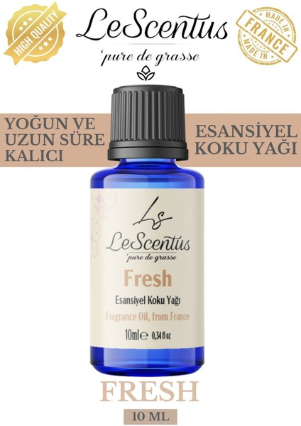 Fresh Esansiyelkokuyağıbuhurdanlık Difüzör Mum Sabun Hobi Esansıhavanemlendirici ODAKOKUSU10ML