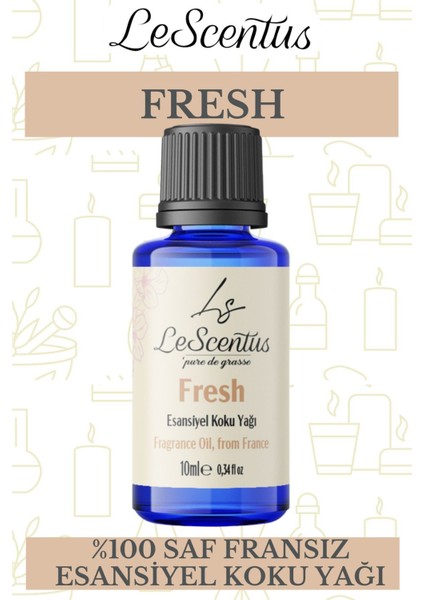 Fresh Esansiyelkokuyağıbuhurdanlık Difüzör Mum Sabun Hobi Esansıhavanemlendirici ODAKOKUSU10ML