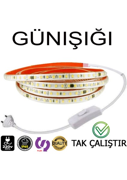 220V Şerit LED Tak Çalıştır Anahtarlı Günışığı Renk (Yüksek Lümen)