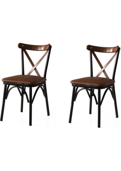 Bahar Mutfak Bahçe Cafe Sandalyesi 2'li Set