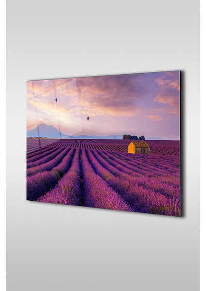 Mor Lavanta Bahçesi Yatay Cam Tablo