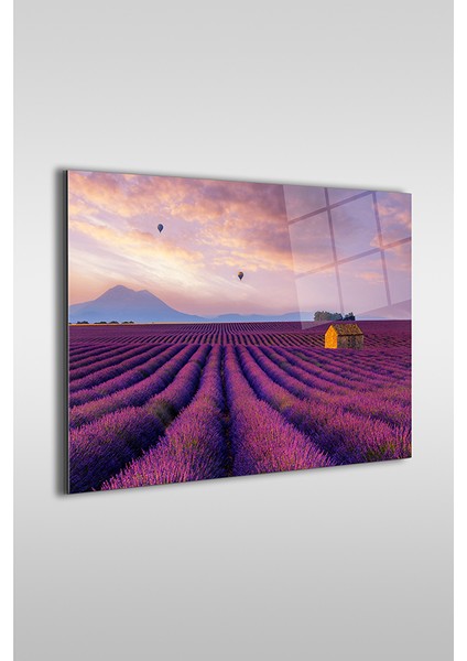 Mor Lavanta Bahçesi Yatay Cam Tablo fiyatları