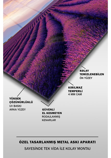 Mor Lavanta Bahçesi Yatay Cam Tablo fırsatları