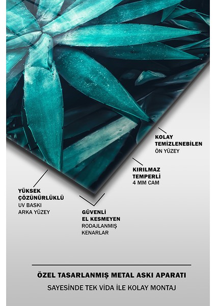 Muz Ağacı Yaprakları Yakın Çekim Yatay Cam Tablo fırsatları