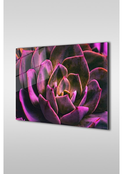 Mor Çiçek Yakın Çekim Dekoratif Yatay Cam Tablo