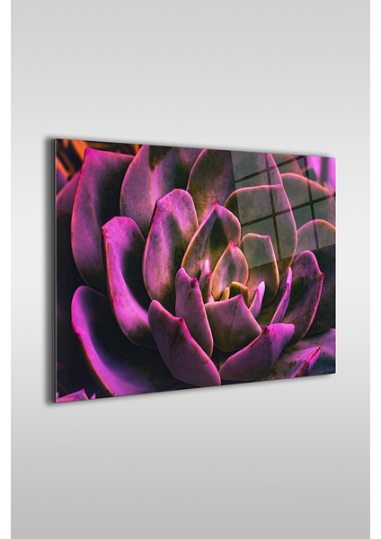 Mor Çiçek Yakın Çekim Dekoratif Yatay Cam Tablo fiyatları