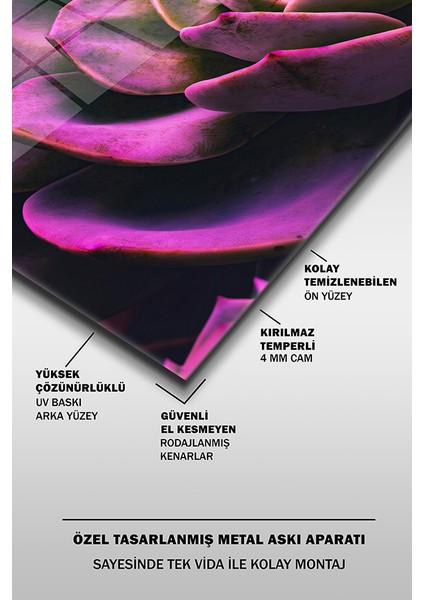 Mor Çiçek Yakın Çekim Dekoratif Yatay Cam Tablo fırsatları