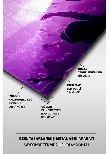 Konserde Meşale Yatay Cam Tablo fırsatları