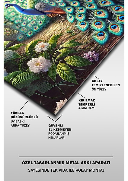 Görkemli Tavuskuşu 2 Dekoratif Dikey Cam Tablo fırsatları