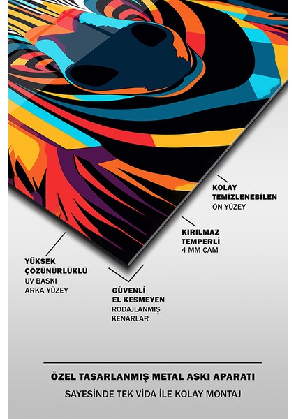 Renkli Zebra Illüstrasyon Dekoratif Dikey Cam Tablo fırsatları