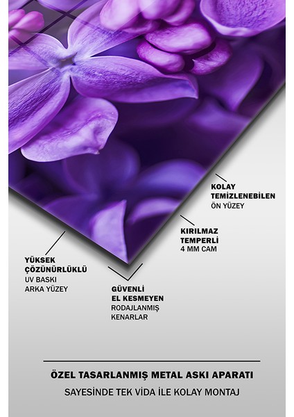 Mor Leylak Dekoratif Yatay Cam Tablo fırsatları