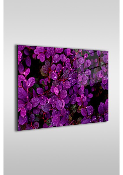Mor Çiçekler Yakın Çekim Dekoratif Yatay Cam Tablo fiyatları