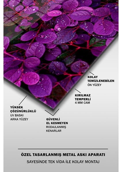 Mor Çiçekler Yakın Çekim Dekoratif Yatay Cam Tablo fırsatları