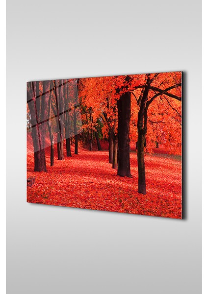 Kırmızı Sonbahar Dekoratif Yatay Cam Tablo
