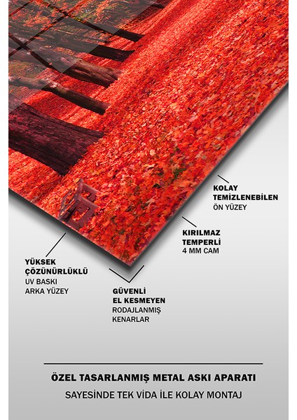 Kırmızı Sonbahar Dekoratif Yatay Cam Tablo fırsatları